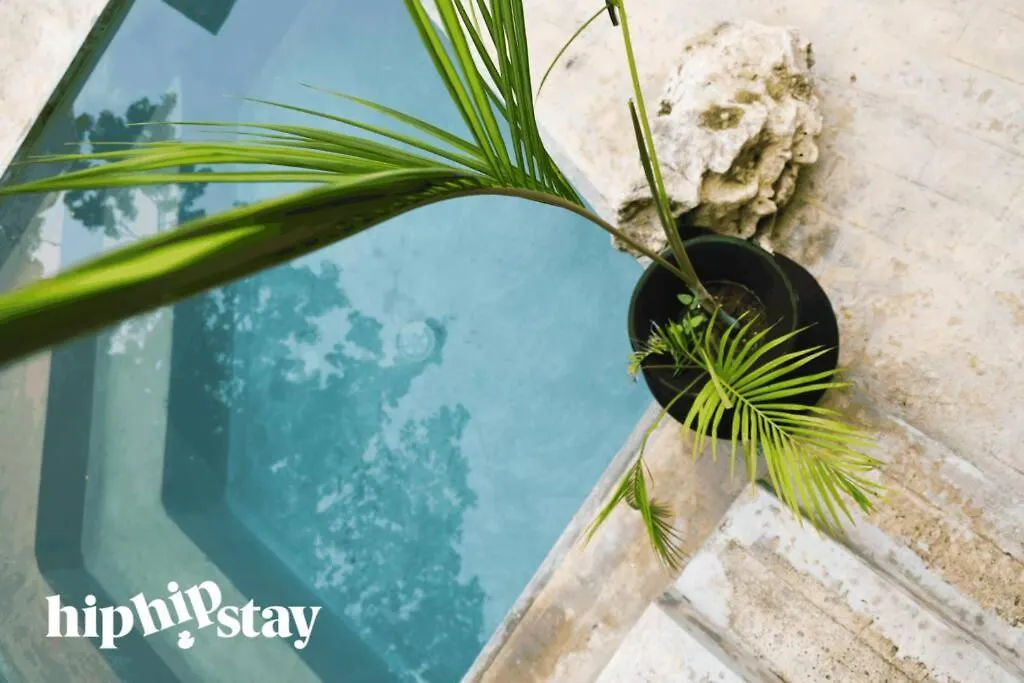 Hiphipstay - El Chapo Villa Tulum 0*,  Mexikó